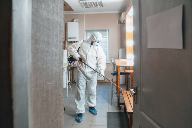 Best Post-Remediation Verification Testing  in Wolf Lake, MI