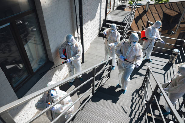 Best Mold Prevention Services  in Wolf Lake, MI