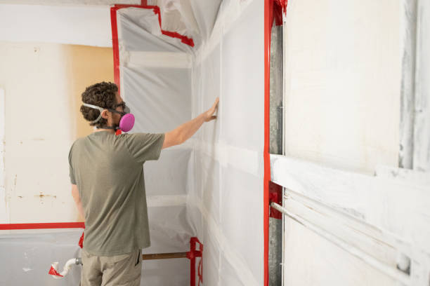 Best Black Mold Removal  in Wolf Lake, MI