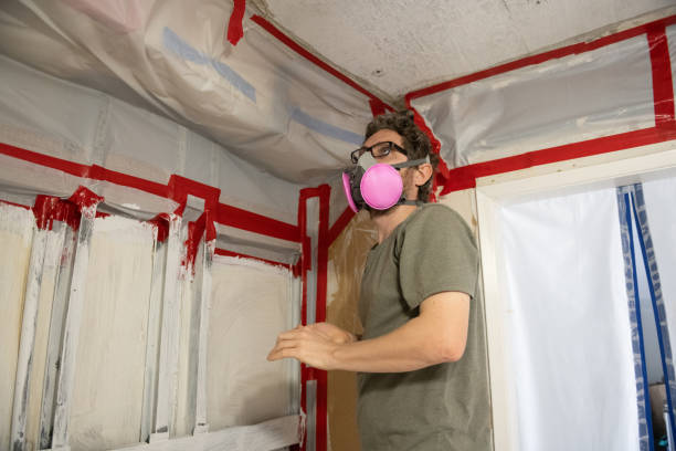 Best Mold-Related Health Consultation  in Wolf Lake, MI