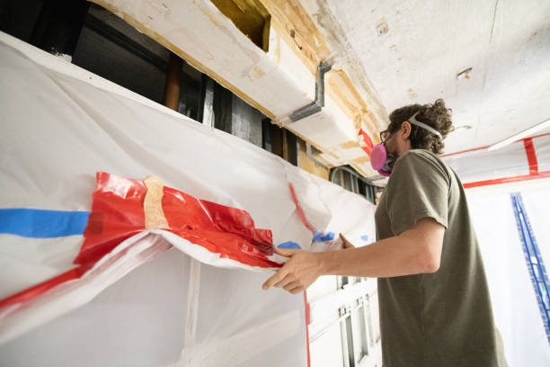 Reliable Wolf Lake, MI Mold Removal Solutions