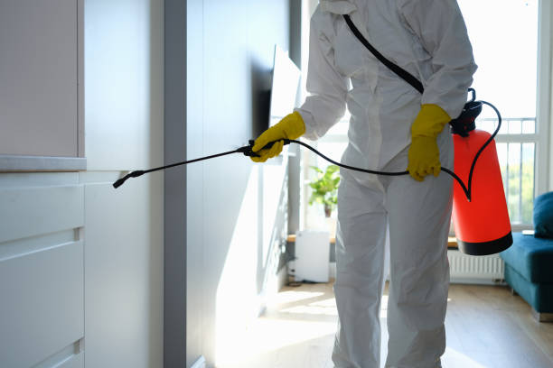 Best Airborne Mold Testing  in Wolf Lake, MI