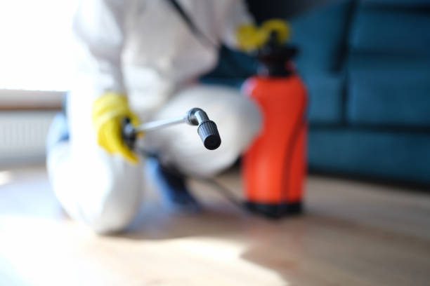 Best Mold Remediation for Rental Properties  in Wolf Lake, MI