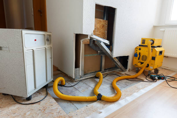 Best Attic Mold Removal  in Wolf Lake, MI
