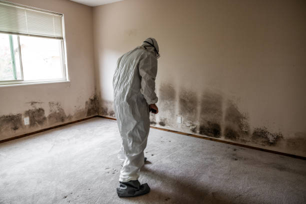 Best Residential Mold Inspection & Testing  in Wolf Lake, MI