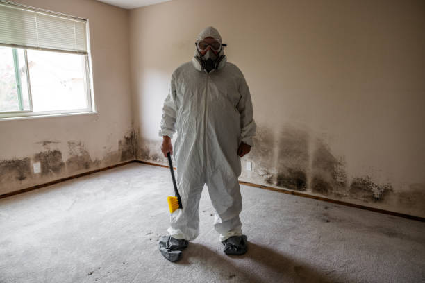 Best Emergency Mold Remediation  in Wolf Lake, MI